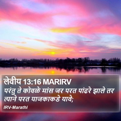 लेवीय 13:16 MARIRV Bible Verse Image
