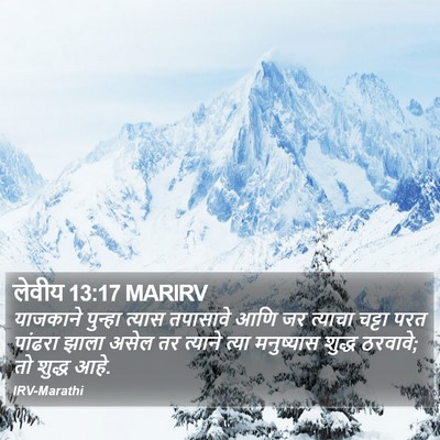 लेवीय 13:17 MARIRV Bible Verse Image