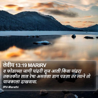 लेवीय 13:19 MARIRV Bible Verse Image