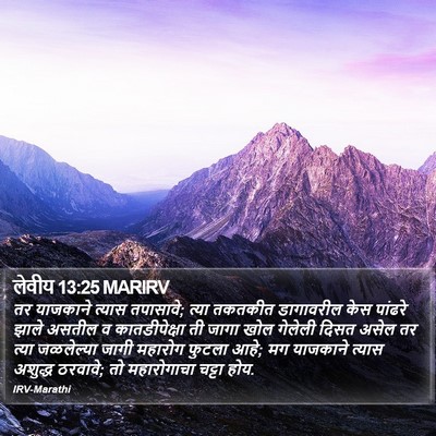 लेवीय 13:25 MARIRV Bible Verse Image