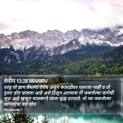 लेवीय 13:28 MARIRV Bible Verse Image