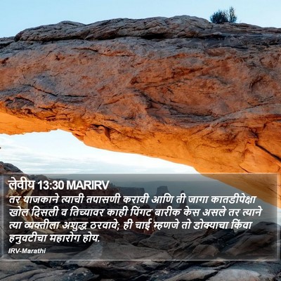 लेवीय 13:30 MARIRV Bible Verse Image