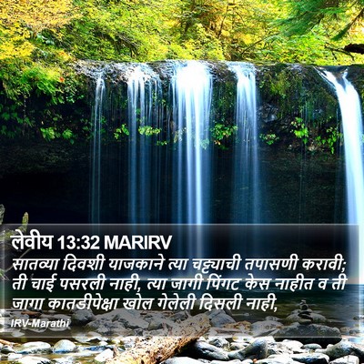 लेवीय 13:32 MARIRV Bible Verse Image
