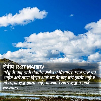 लेवीय 13:37 MARIRV Bible Verse Image