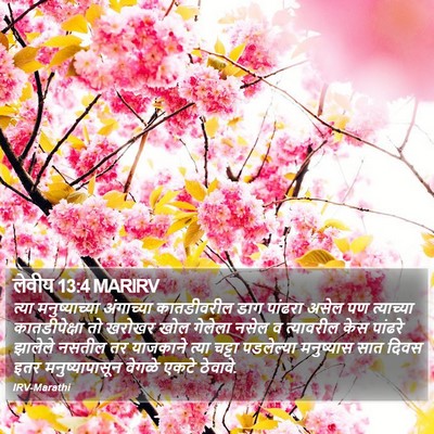 लेवीय 13:4 MARIRV Bible Verse Image