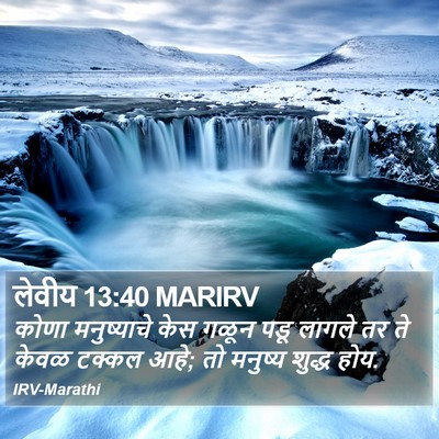 लेवीय 13:40 MARIRV Bible Verse Image