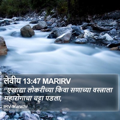 लेवीय 13:47 MARIRV Bible Verse Image