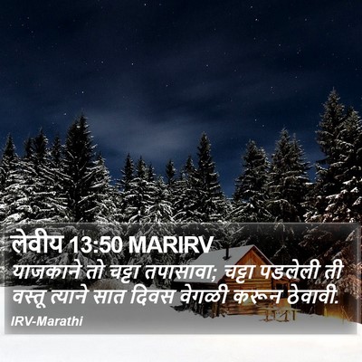 लेवीय 13:50 MARIRV Bible Verse Image