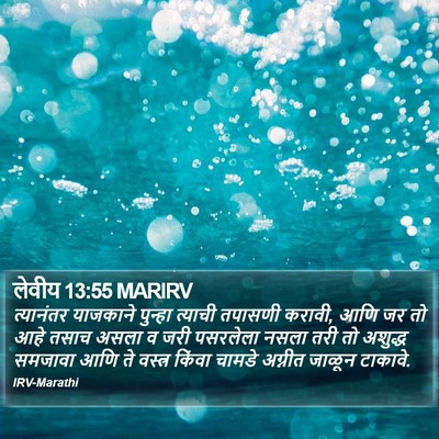 लेवीय 13:55 MARIRV Bible Verse Image