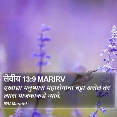 लेवीय 13:9 MARIRV Bible Verse Image
