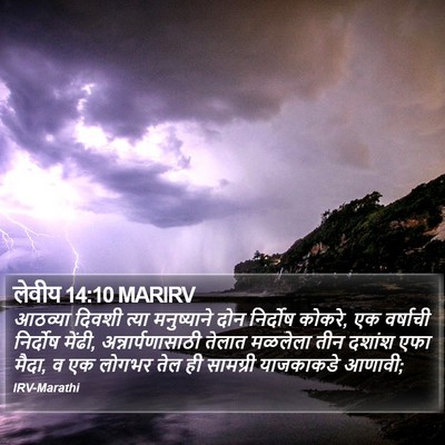 लेवीय 14:10 MARIRV Bible Verse Image
