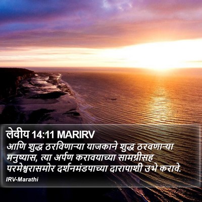 लेवीय 14:11 MARIRV Bible Verse Image