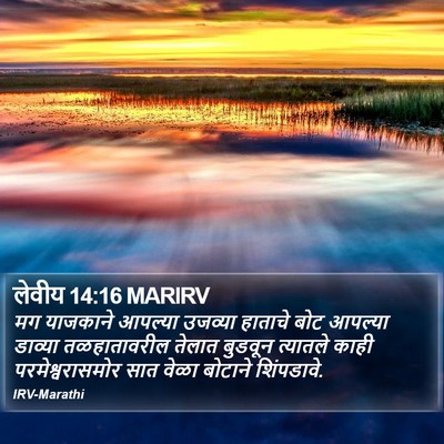 लेवीय 14:16 MARIRV Bible Verse Image