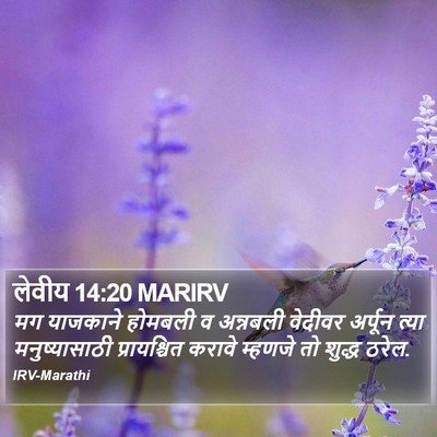 लेवीय 14:20 MARIRV Bible Verse Image