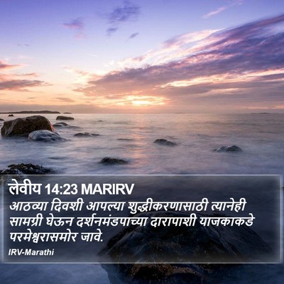 लेवीय 14:23 MARIRV Bible Verse Image