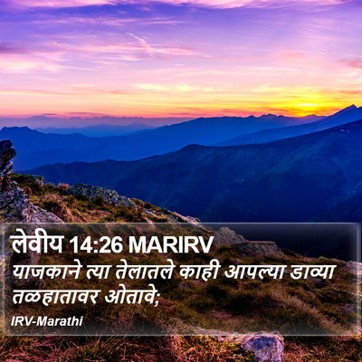 लेवीय 14:26 MARIRV Bible Verse Image