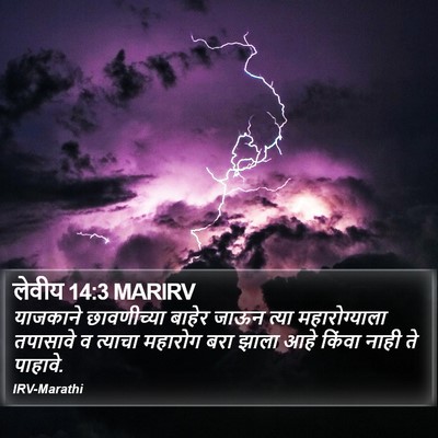 लेवीय 14:3 MARIRV Bible Verse Image