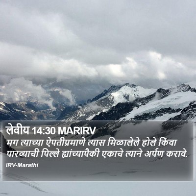 लेवीय 14:30 MARIRV Bible Verse Image