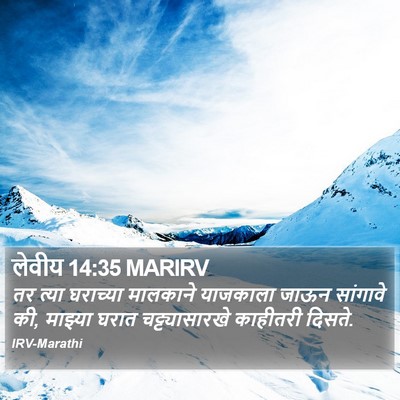 लेवीय 14:35 MARIRV Bible Verse Image