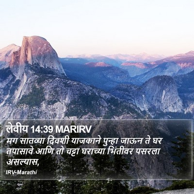 लेवीय 14:39 MARIRV Bible Verse Image