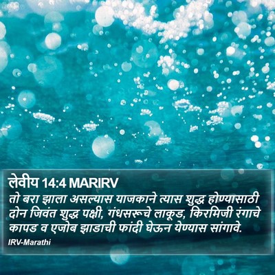लेवीय 14:4 MARIRV Bible Verse Image