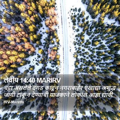 लेवीय 14:40 MARIRV Bible Verse Image