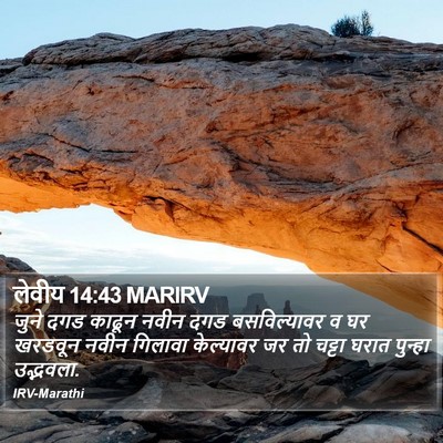लेवीय 14:43 MARIRV Bible Verse Image
