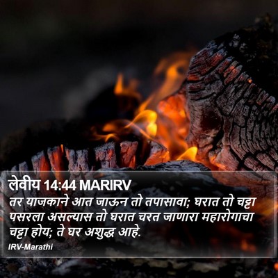 लेवीय 14:44 MARIRV Bible Verse Image
