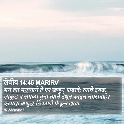 लेवीय 14:45 MARIRV Bible Verse Image