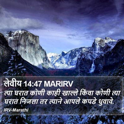 लेवीय 14:47 MARIRV Bible Verse Image