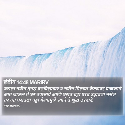लेवीय 14:48 MARIRV Bible Verse Image