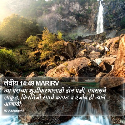 लेवीय 14:49 MARIRV Bible Verse Image