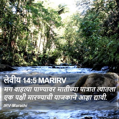 लेवीय 14:5 MARIRV Bible Verse Image
