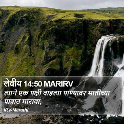 लेवीय 14:50 MARIRV Bible Verse Image