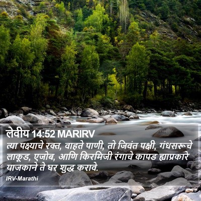 लेवीय 14:52 MARIRV Bible Verse Image