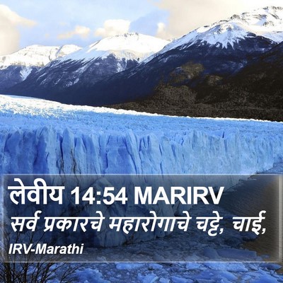 लेवीय 14:54 MARIRV Bible Verse Image