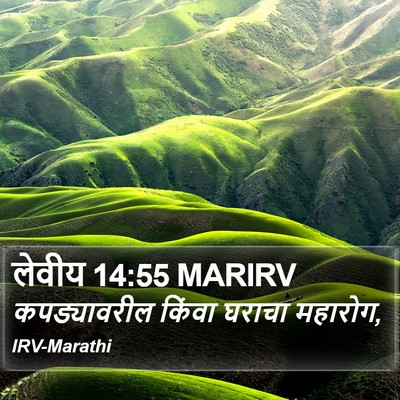 लेवीय 14:55 MARIRV Bible Verse Image