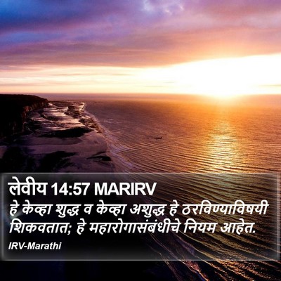 लेवीय 14:57 MARIRV Bible Verse Image
