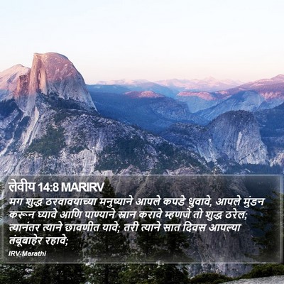 लेवीय 14:8 MARIRV Bible Verse Image