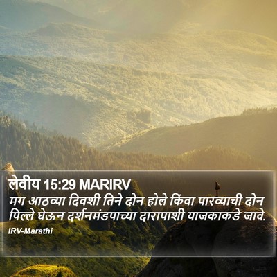लेवीय 15:29 MARIRV Bible Verse Image