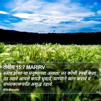 लेवीय 15:7 MARIRV Bible Verse Image