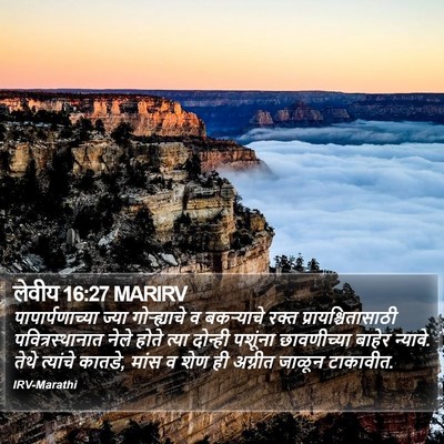लेवीय 16:27 MARIRV Bible Verse Image