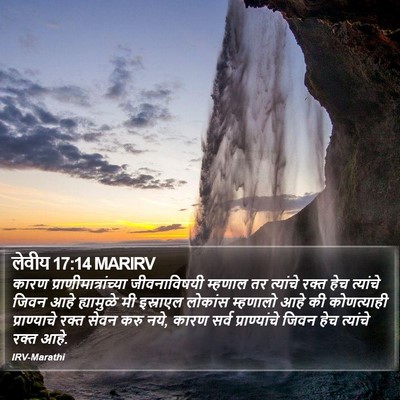 लेवीय 17:14 MARIRV Bible Verse Image