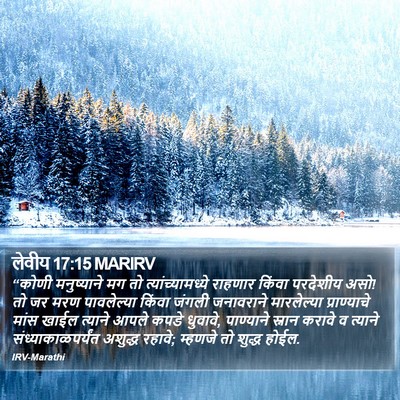लेवीय 17:15 MARIRV Bible Verse Image