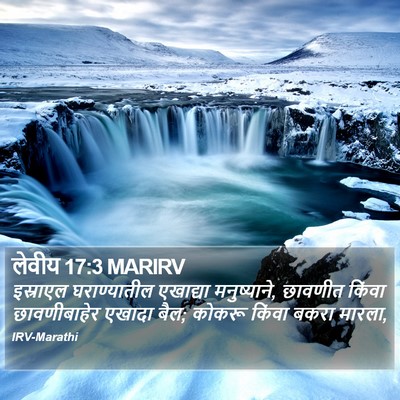 लेवीय 17:3 MARIRV Bible Verse Image