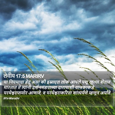 लेवीय 17:5 MARIRV Bible Verse Image