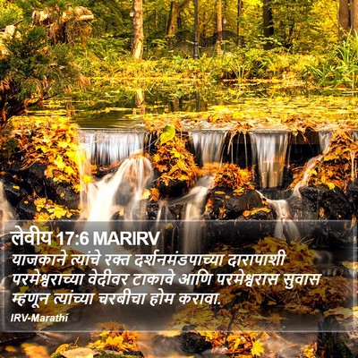 लेवीय 17:6 MARIRV Bible Verse Image