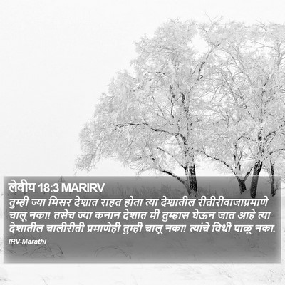 लेवीय 18:3 MARIRV Bible Verse Image
