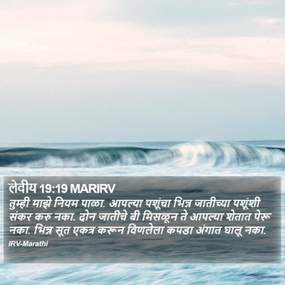लेवीय 19:19 MARIRV Bible Verse Image