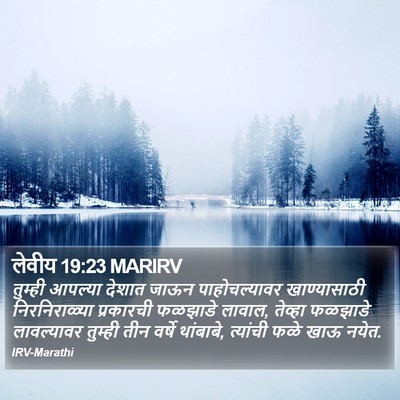 लेवीय 19:23 MARIRV Bible Verse Image